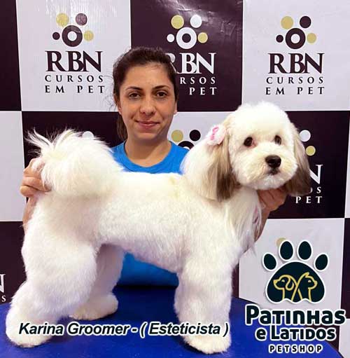 esteticista karina groomer pet shop camboriu banho e tosa bc sc